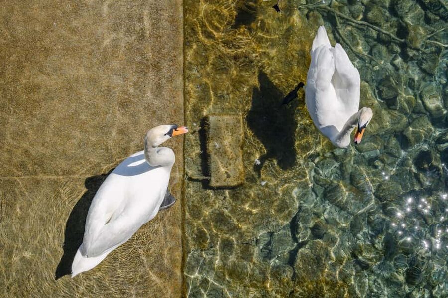 Zurich: 360° city walk including hidden spots - Niederdorf and the medieval lanes: where Zurich turns slow and cozy