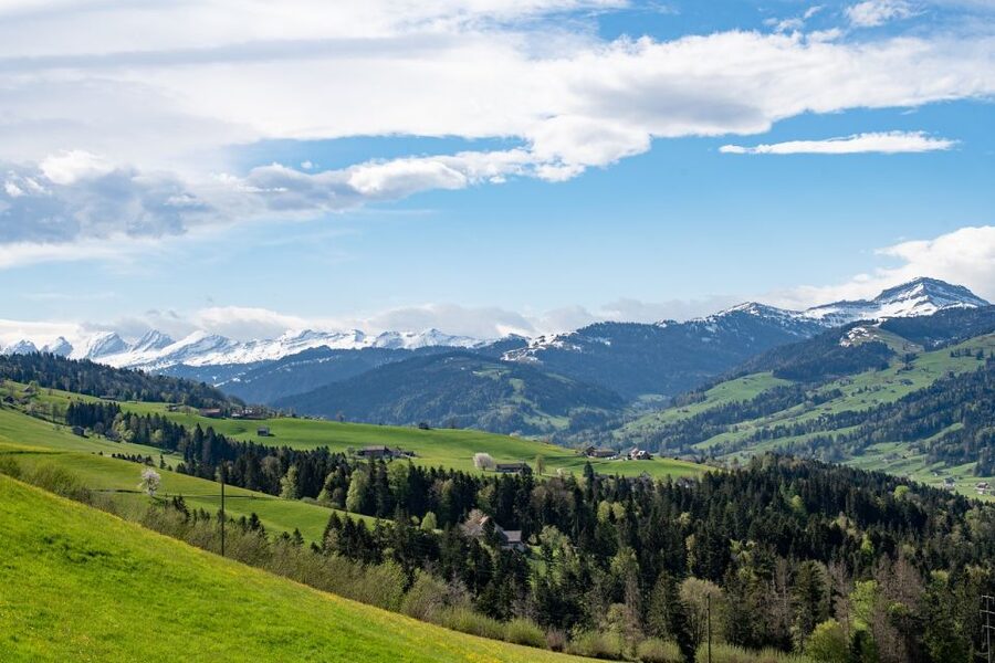 Zurich: Appenzell Day Trip with Farm Visit & Cheese Tasting - Appenzell walking tour: wooden houses, lively squares, then free time