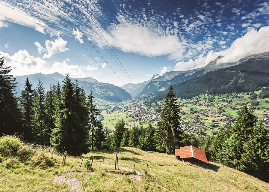 Zurich: Day Trip to Grindelwald, Interlaken & Lauterbrunnen - Optional Extras That Fit Different Travel Styles