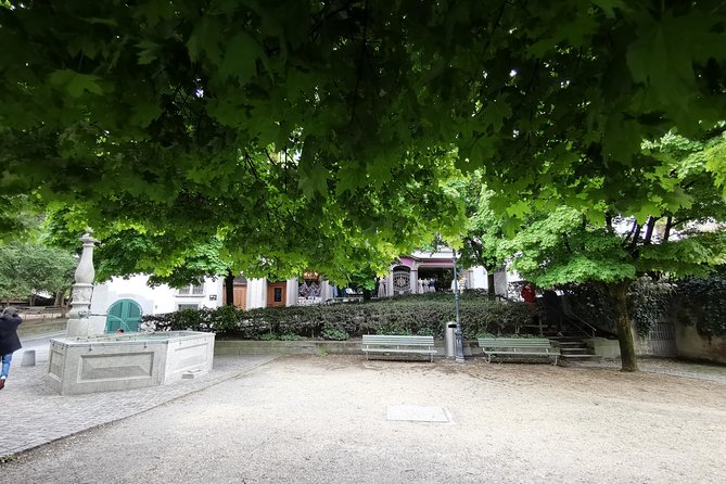 Zürich Historic District Tour - Comfort hacks for a 2-hour walking loop