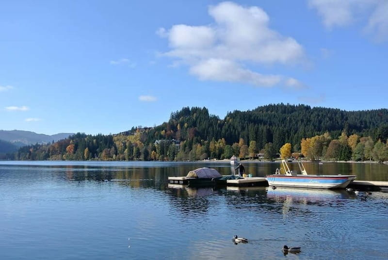 Zürich/Lucerne: Rhine Falls, Titisee & Black Forest Day Trip - Key Points Worth Knowing Before You Go