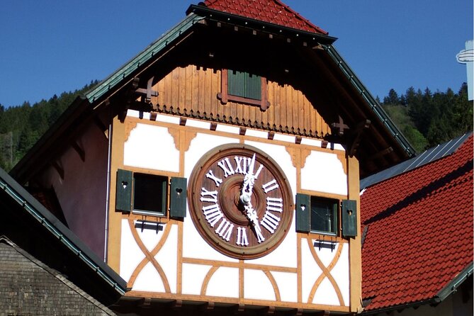 Zürich: Private Car Tour to Rhine Falls, Titisee and Black Forest - Boat Ride at Rhine Falls: The One Add-On I’d Aim For