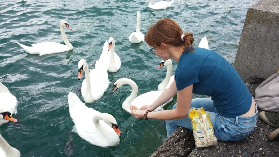 Zurich: Private Walking Tour with a Local Guide - Lake promenade breaks: Bellevue and Bürkliplatz for skyline views