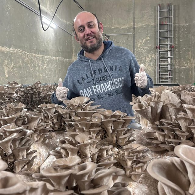 Zurich's best-kept secret: the hidden world of mushrooms! - Zurich’s Urban Mushroom Farm in a Disused Water Reservoir
