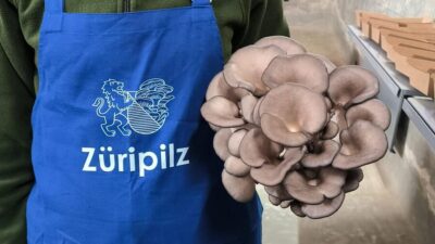 Zurich’s best-kept secret: the hidden world of mushrooms!