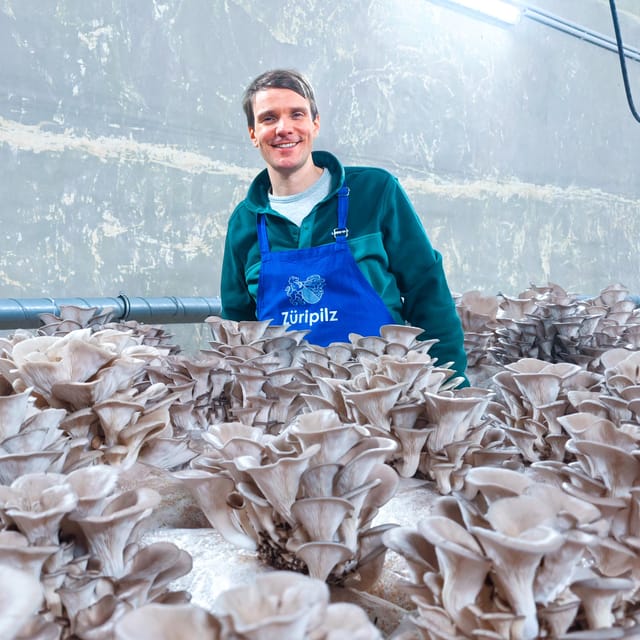 Zurich's best-kept secret: the hidden world of mushrooms! - Entering the Maturation Chamber With Gloves and a Breathing Mask