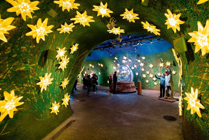 Zurich: Small group tour to Jungfrau, Grindelwald & Interlaken - Interlaken free time: the charm is real, but 45 minutes is not long