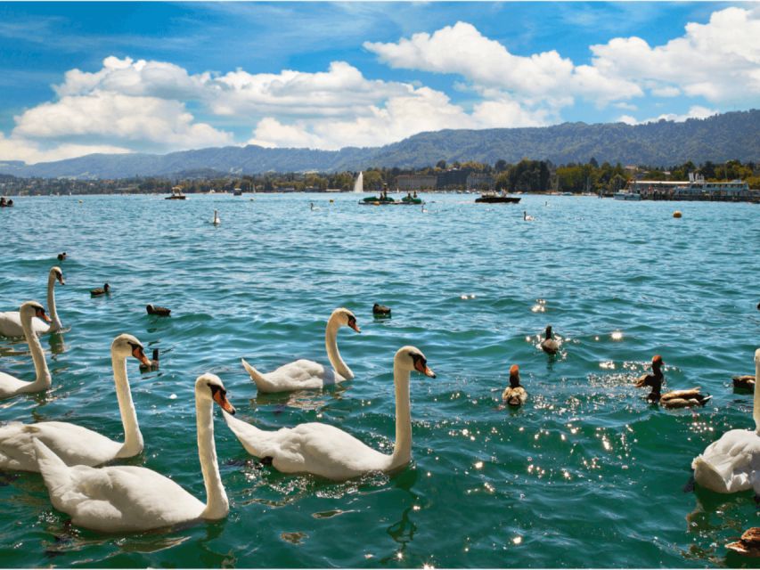 Zürich with Cruise and Lindt Home of chocolate (private) - Price of $469 Per Person: What You Are Really Paying For