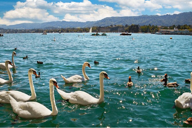 Zurich with Cruise and Lindt Home of Chocolate Private tour - Private tour with hotel pickup: how it works in real life